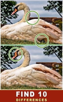 Download Find The Difference - Spot It Teka-teki untuk Android tangkapan layar 2