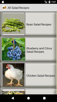 Download All Salad Recipes Makanan dan minuman untuk Android tangkapan layar 2
