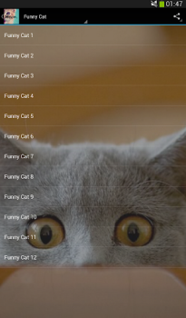 Download Cats sounds Musik dan audio untuk Android tangkapan layar 4