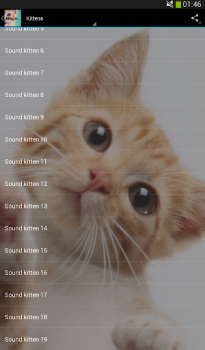 Download Cats sounds Musik dan audio untuk Android tangkapan layar 5