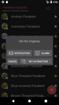 Download Parakeet Sounds Hiburan untuk Android tangkapan layar 4