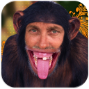 Download  Fun Photo Camera