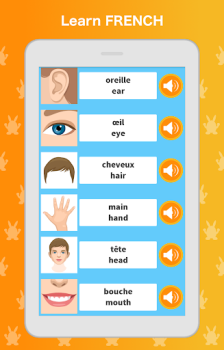 Download Learn French Language Pendidikan untuk Android tangkapan layar 7
