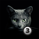 Download Find A Cat 3