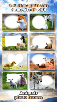 Download All Animals Photo Frames 🐅 Wildlife 🐈 Cute Pets Foto untuk Android tangkapan layar 6