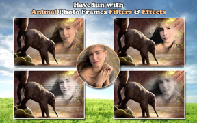 Download All Animals Photo Frames 🐅 Wildlife 🐈 Cute Pets Foto untuk Android tangkapan layar 7