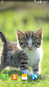 Download Cat Live Wallpaper Personalisasi untuk Android tangkapan layar 2