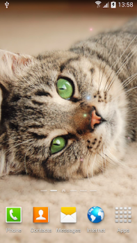 Download Cat Live Wallpaper Personalisasi untuk Android tangkapan layar 3