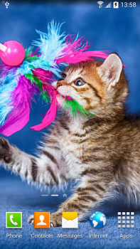 Download Cat Live Wallpaper Personalisasi untuk Android tangkapan layar 4