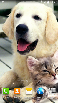 Download Cat Live Wallpaper Personalisasi untuk Android tangkapan layar 7