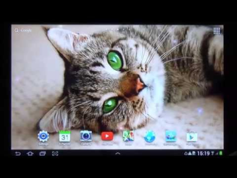 Download Cat Live Wallpaper Personalisasi untuk Android tangkapan layar 8