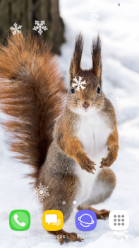 Download Beautiful Winter Live Wallpape Personalisasi untuk Android tangkapan layar 5