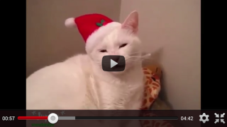Download Free Funny Videos for Whatsapp Hiburan untuk Android tangkapan layar 7