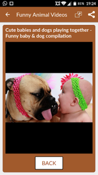 Download Funny Animal Videos: Cats Dogs Hiburan untuk Android tangkapan layar 3