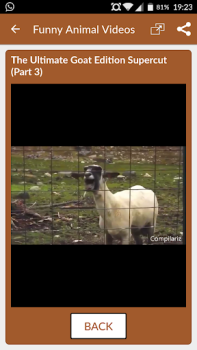 Download Funny Animal Videos: Cats Dogs Hiburan untuk Android tangkapan layar 6