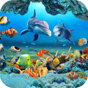 Download  Koi Fish Live Wallpaper 3D