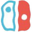 Download  SwitchDROID