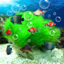 Download  Aquarium