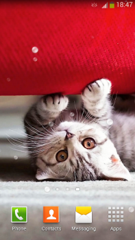 Download Cute Cats Live Wallpaper Personalisasi untuk Android tangkapan layar 2