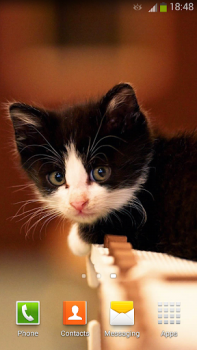 Download Cute Cats Live Wallpaper Personalisasi untuk Android tangkapan layar 4