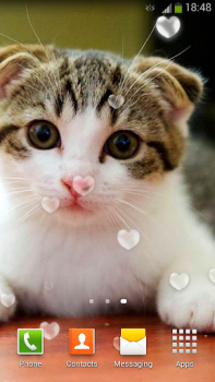 Download Cute Cats Live Wallpaper Personalisasi untuk Android tangkapan layar 5