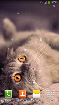 Download Cute Cats Live Wallpaper Personalisasi untuk Android tangkapan layar 6