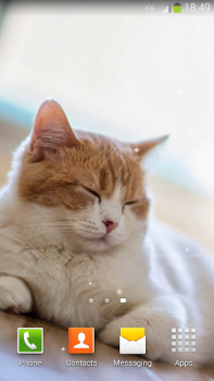 Download Cute Cats Live Wallpaper Personalisasi untuk Android tangkapan layar 7