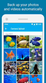 Sync - Secure cloud storage