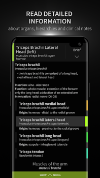 Download Anatomyka - 3D Anatomy Atlas Obat untuk Android tangkapan layar 3