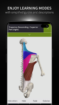 Download Anatomyka - 3D Anatomy Atlas Obat untuk Android tangkapan layar 6