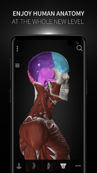 Download Anatomyka - 3D Anatomy Atlas Obat untuk Android tangkapan layar 7