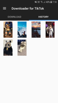 Download Downloader for TikTok Alat untuk Android tangkapan layar 4