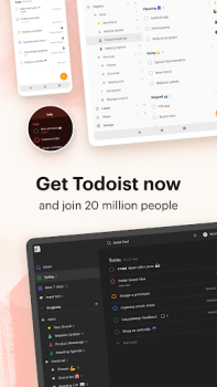 Download Todoist: to-do list & planner Kerja untuk Android tangkapan layar 7