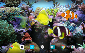 Download Coral Fish 3D Live Wallpaper Personalisasi untuk Android tangkapan layar 7