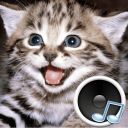 Download  Animal sounds. Learn and play.