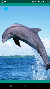 Download Animal sounds. Learn and play. Hiburan untuk Android tangkapan layar 4