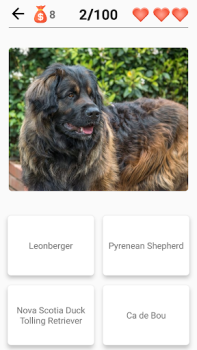 Download Dog Breeds - Quiz about dogs! Trivia untuk Android tangkapan layar 2