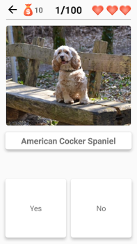 Download Dog Breeds - Quiz about dogs! Trivia untuk Android tangkapan layar 7