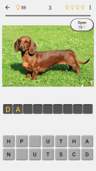 Dogs Quiz - Guess All Breeds!