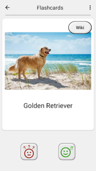 Dogs Quiz - Guess All Breeds!