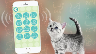 Download Переводчик на кошачий язык Hiburan untuk Android tangkapan layar 2