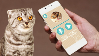 Download Переводчик на кошачий язык Hiburan untuk Android tangkapan layar 3