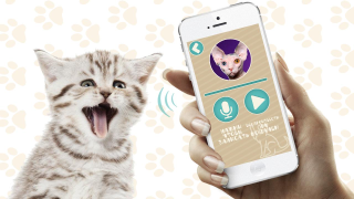 Download Переводчик на кошачий язык Hiburan untuk Android tangkapan layar 4