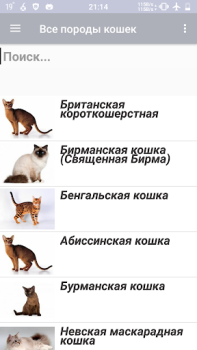 Download Все породы кошек Buku dan Referensi untuk Android tangkapan layar 2