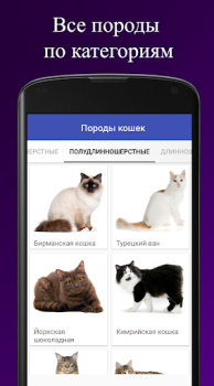 Download Породы кошек. Справочник пород Buku dan Referensi untuk Android tangkapan layar 2