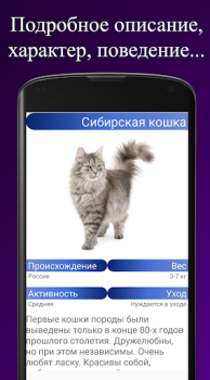Download Породы кошек. Справочник пород Buku dan Referensi untuk Android tangkapan layar 3