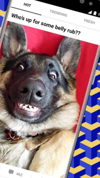 Download 9GAG: Funny GIF, Meme & Video Hiburan untuk Android tangkapan layar 2
