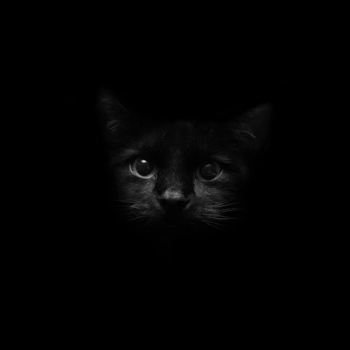 Download Black Live Wallpaper Personalisasi untuk Android tangkapan layar 5