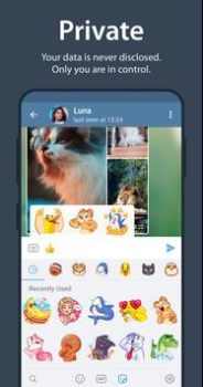 Download Telegram Komunikasi untuk Android tangkapan layar 3