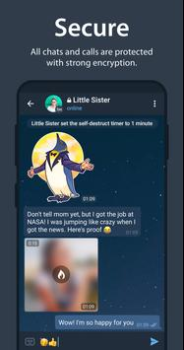 Download Telegram Komunikasi untuk Android tangkapan layar 6